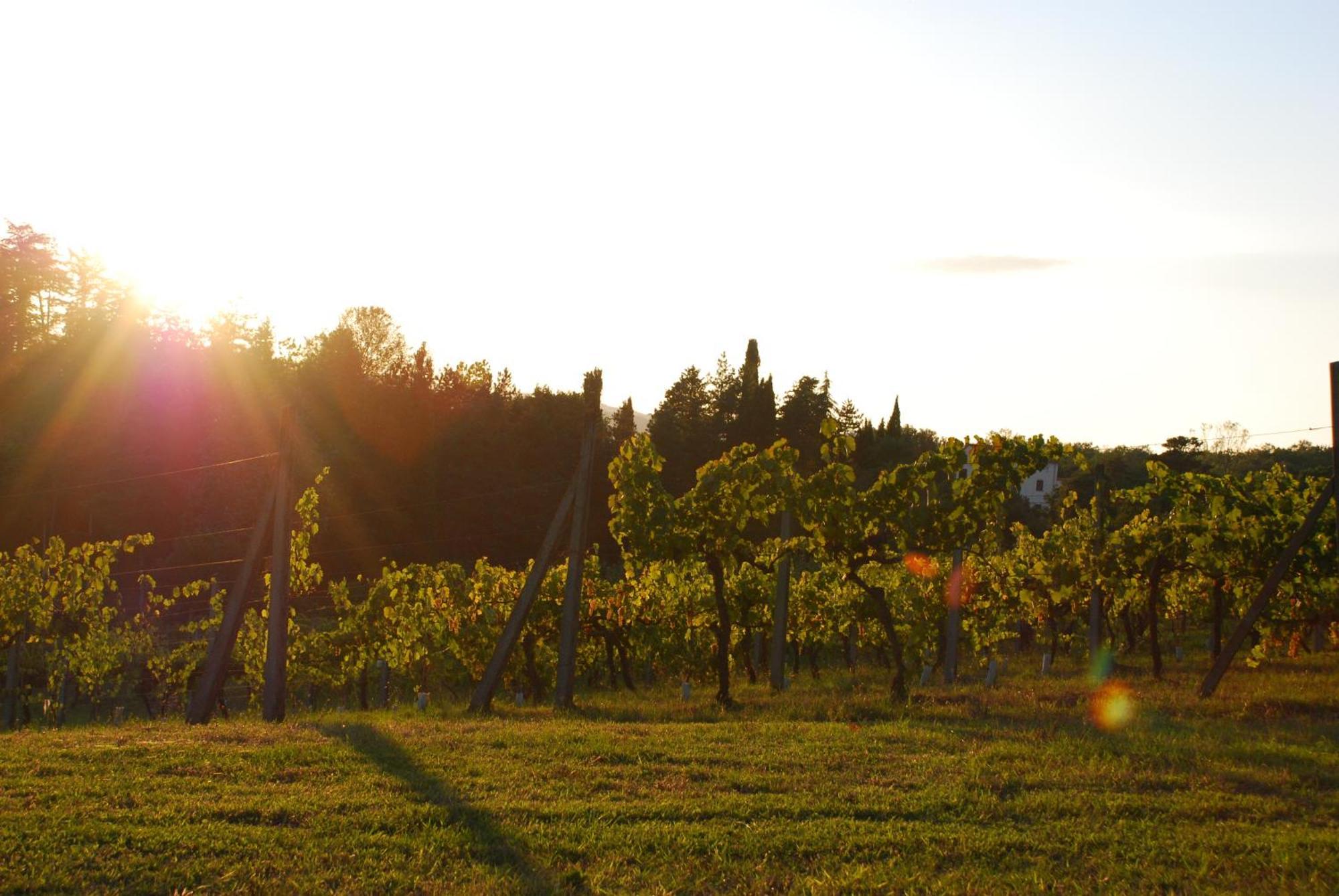 Agriturismo Il Sasso Anghiari Zewnętrze zdjęcie